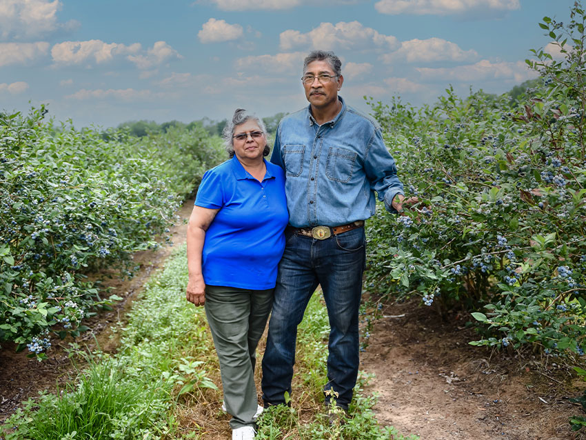 Farmers
